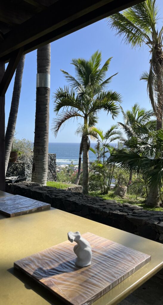 Vue panoramique sur l'océan Indien depuis l'atelier Ceramik33.
